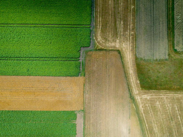 istock Aerial view of various agricultural fields 985262652