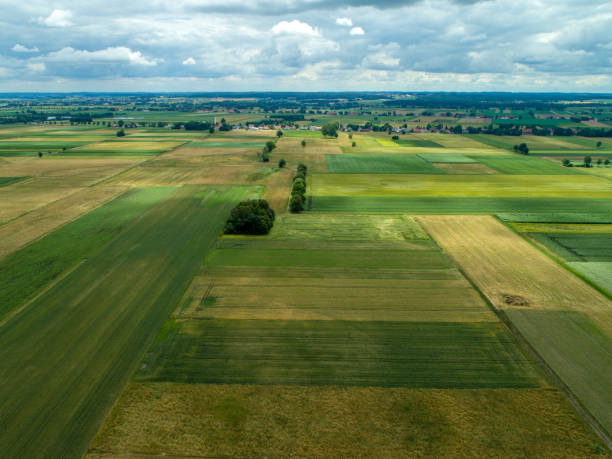 istock Aerial view of various agricultural fields 985263354