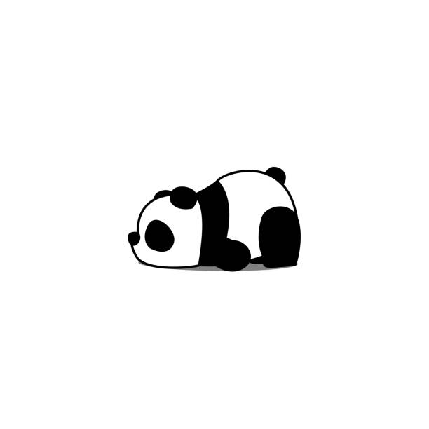 illustrazioni stock, clip art, cartoni animati e icone di tendenza di cartone animato panda pigro, illustrazione vettoriale - panda mammifero con zampe