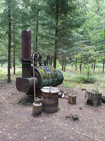 Vintage moonshine factory hidden in forest