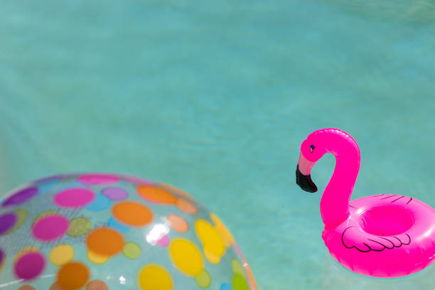 istock Pool toys in swimming pool 985272502