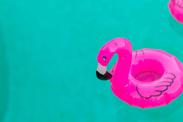 istock Pool toys in swimming pool 985272546