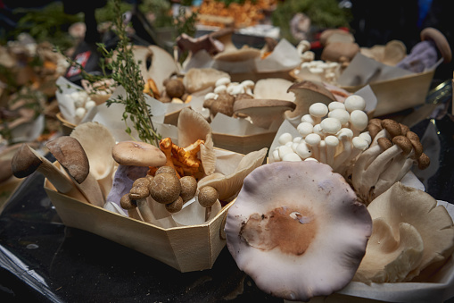 Different species of brown and white mushrooms on sale at a vegetables stall in a local farmer market. Landscape format.