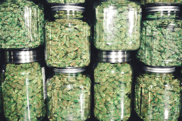 marihuana knospen in glas-glas-stack - knospend stock-fotos und bilder
