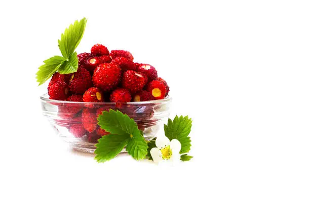 wild strawberry in a glass bowl on a white background 7