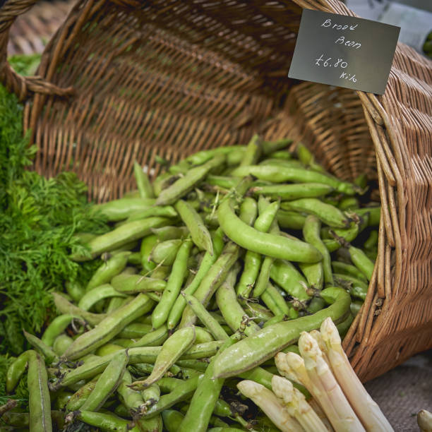 緑の広いビームと地元の農家の市場の野菜屋でホワイト アスパラガス販売木製バスケット。 - asparagus vegetable market basket ストックフォトと画像