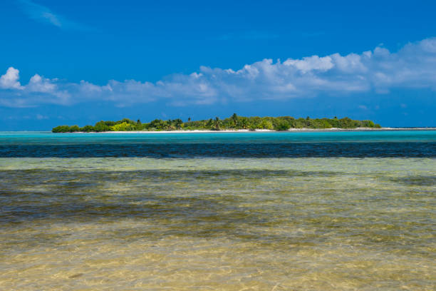 istock Owen Island, Little Cayman - Cayman Islands 985301514
