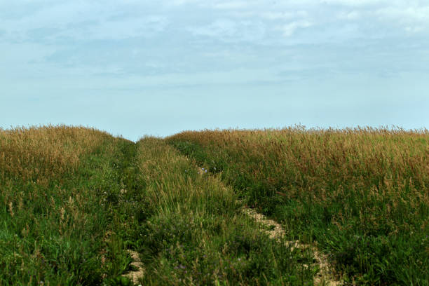 istock Finfrock State Natural Habitat Area 985315428