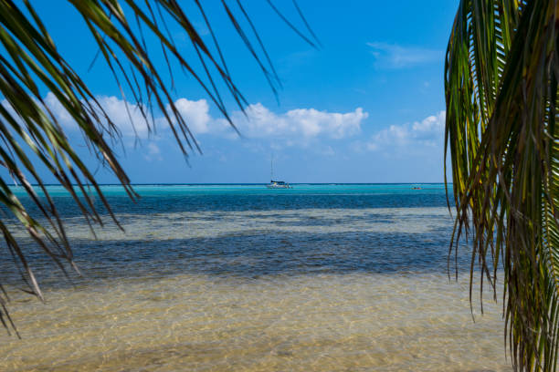 istock Little Cayman - Cayman Islands 985327366