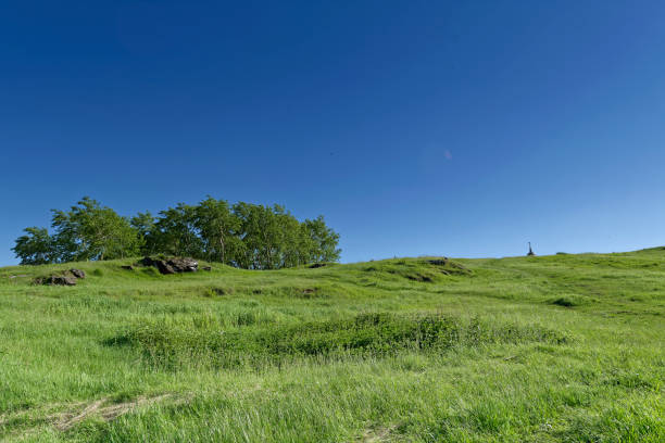 istock Summer landscape on top of a mountain 985342564