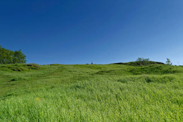 istock Summer landscape on top of a mountain 985342570