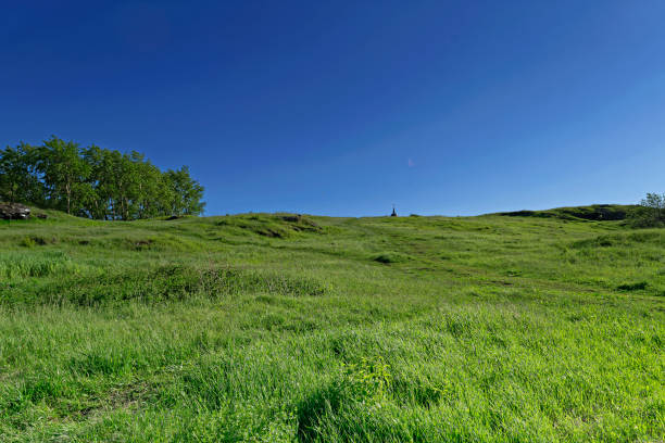istock Summer landscape on top of a mountain 985342576