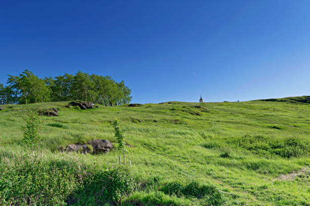 istock Summer landscape on top of a mountain 985342578