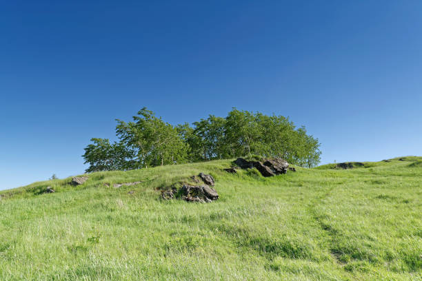 istock Summer landscape on top of a mountain 985342610