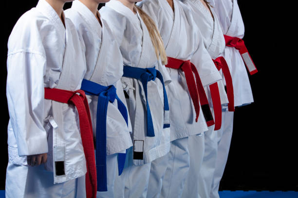 istock young, beautiful, successful multi ethical karate kids in karate position. 985346320