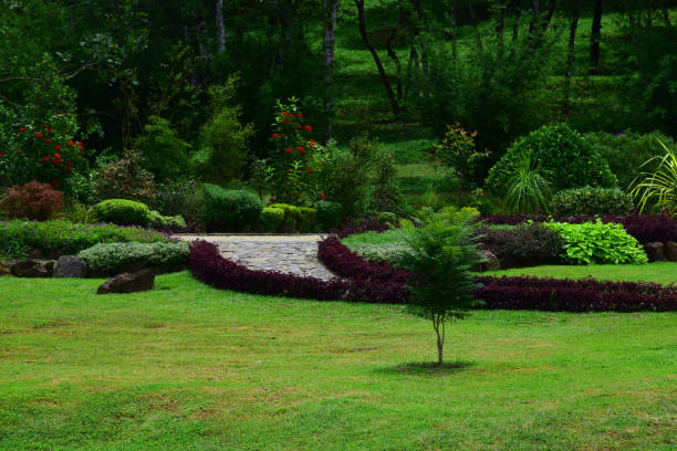 Natural lake and flower bed