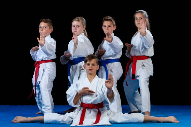 istock young, beautiful, successful multi ethical karate kids in karate position. 985348092