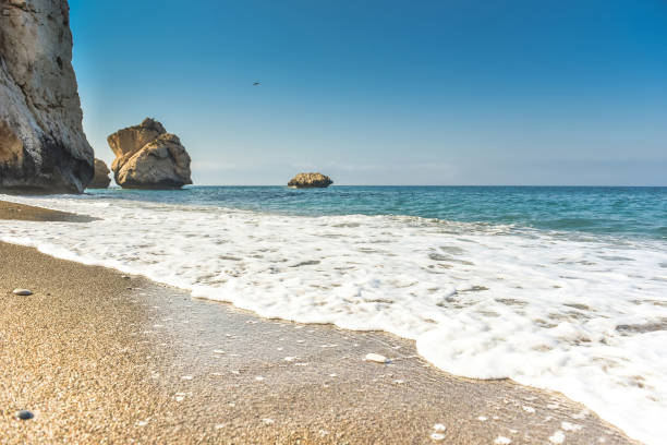 istock Golden sandy beach and sea 985349590