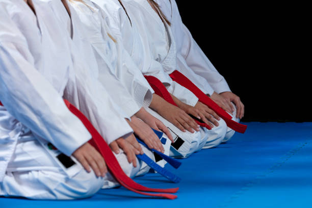 istock young, beautiful, successful multi ethical karate kids in karate position. 985349770