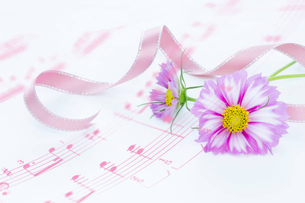istock bouquet of  cosmos (flower) 985351174