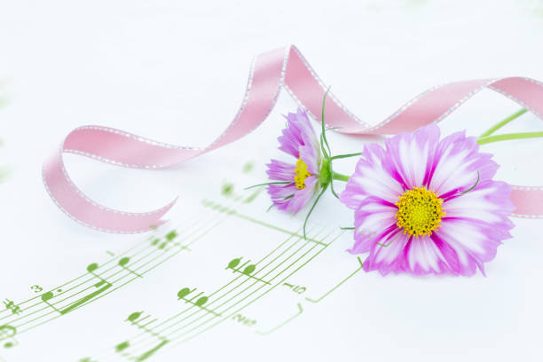 istock bouquet of  cosmos (flower) 985351180