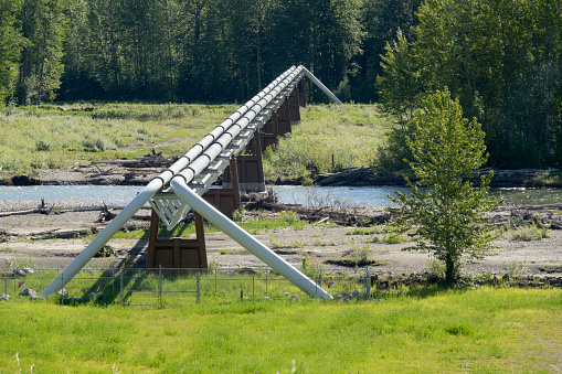 Flowing south from Fort St. John in British Columbia, a shiny, natural gas pipeline rises over the Peace River and flows along the Peace River Valley.