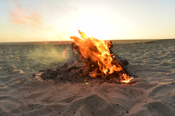 istock flaming driftwood fire on ocean beach at dusk 985358212