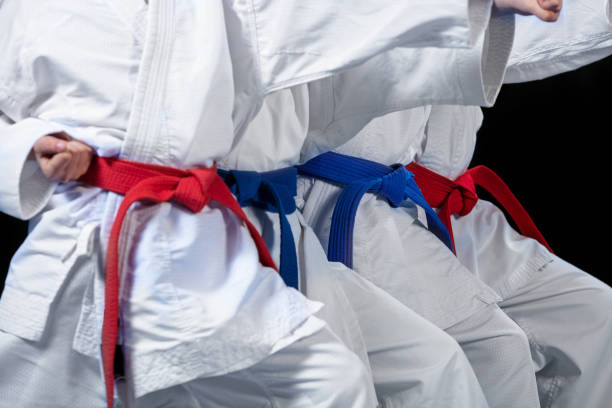 istock young, beautiful, successful multi ethical karate kids in karate position. 985358270