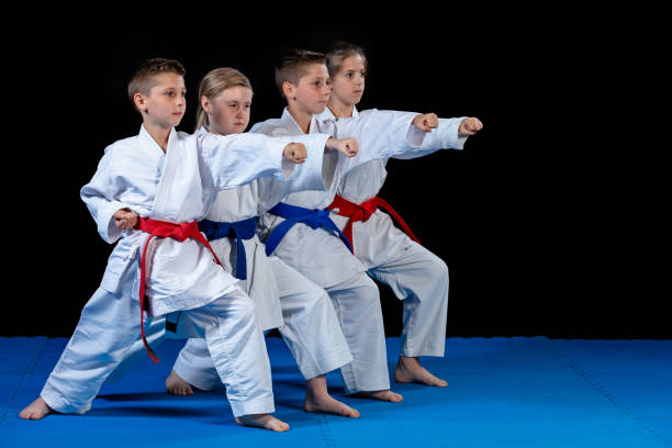 istock young, beautiful, successful multi ethical karate kids in karate position. 985363928