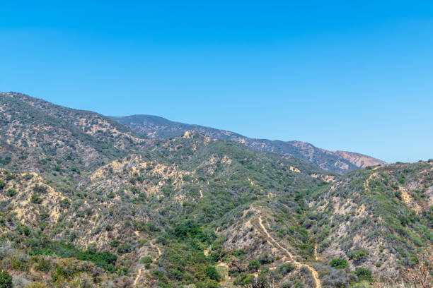 istock Beauty in the mountains 985367660