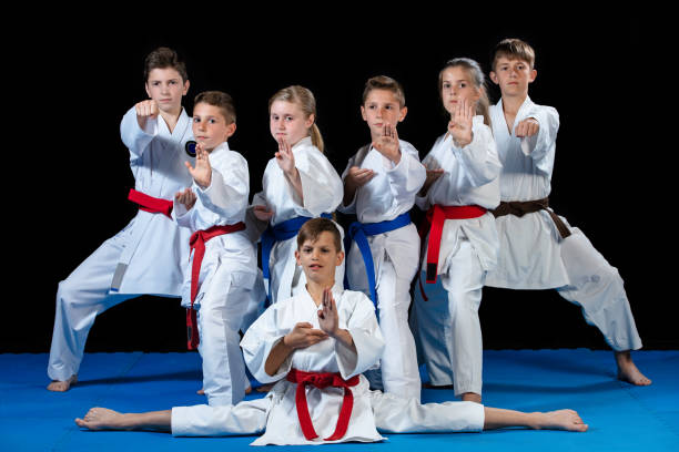 istock young, beautiful, successful multi ethical karate kids in karate position. 985374384