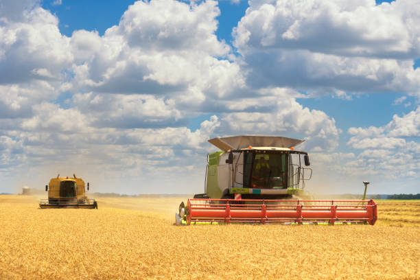 istock Combine harvesters harvesting wheat 985377794