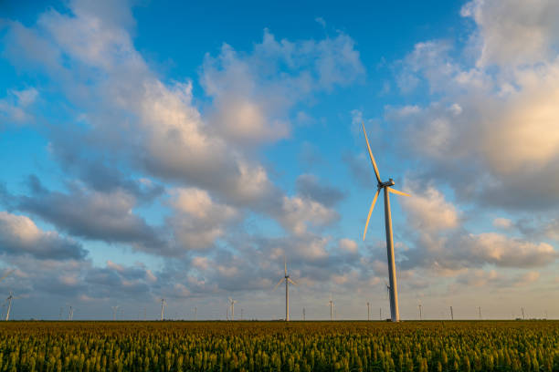 istock Wide Angle Sunset Texas Wind Turbine Farm 985389136