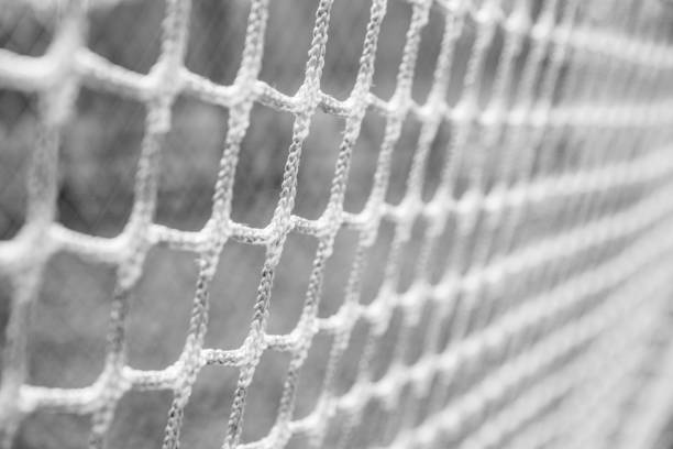 Sports goal netting