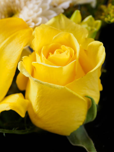 istock Yellow rose and lily bouquet 985405544