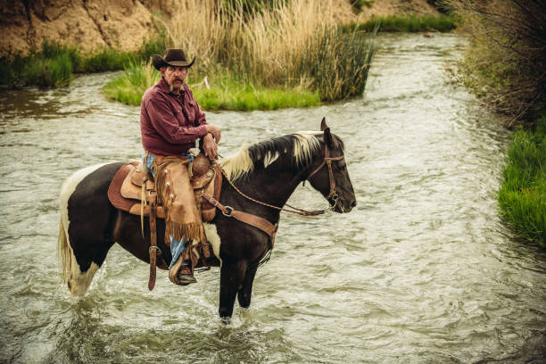 istock Utah Cowboy riding across the river 985413976