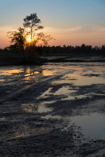 istock Waterlogged fields in Asia after heavy tropical storm 985417100