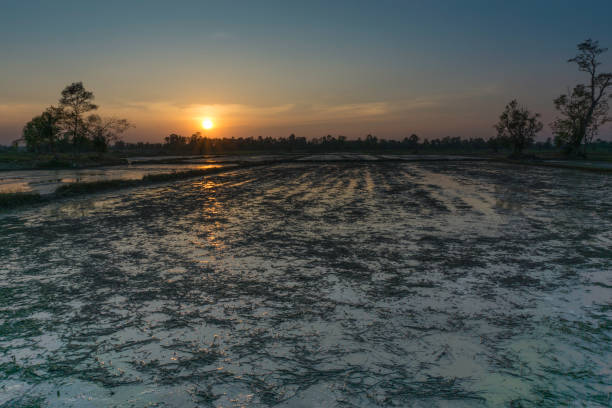 istock Waterlogged fields in Asia after heavy tropical storm 985417312