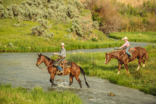 istock Utah ranchers riding across the river 985417894