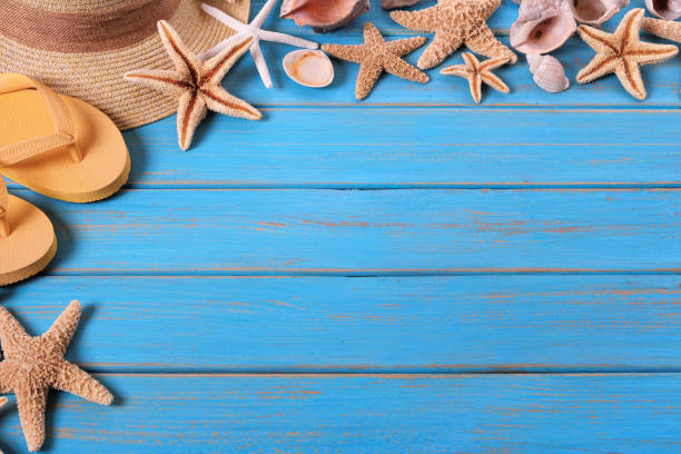 istock Tropical beach summer starfish flip flops background border 985421180