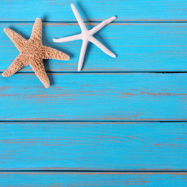 istock Starfish old worn blue beach wood deck background border 985421988