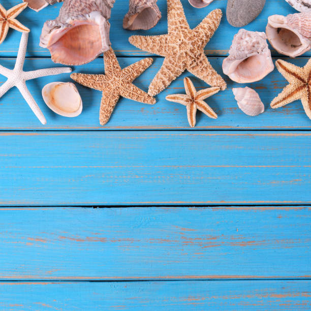 istock Tropical beach summer starfish background border 985422188