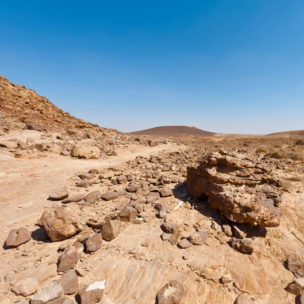 istock Nature of the Middle East. 985441948
