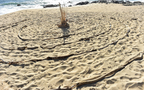 istock circle labyrinth laid out in driftwood sticks seashore sand beach Baja, Mexico 985463652
