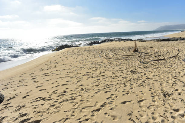 istock circle labyrinth laid out in driftwood sticks seashore sand beach Baja, Mexico 985463784