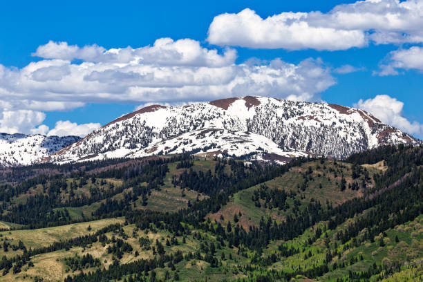 istock Snow Capped Salt River Range Mountains, Wyoming, USA 985464572