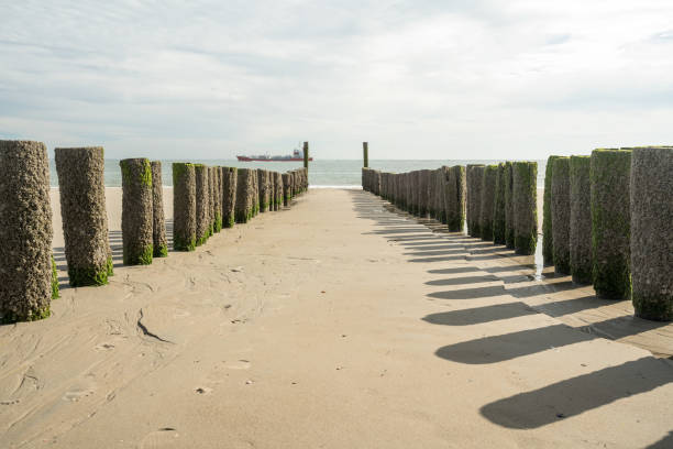 istock wooden poles in the sea 985496076