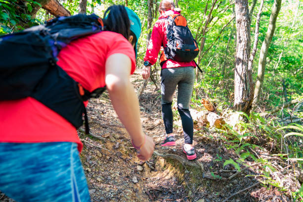 istock Two female hiker Walking around mountain 985514428