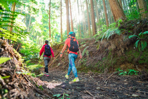 istock Two female hiker Walking around mountain 985514628