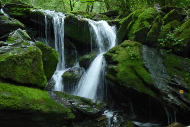 istock Green moss on rocks and Small waterfall 985531648